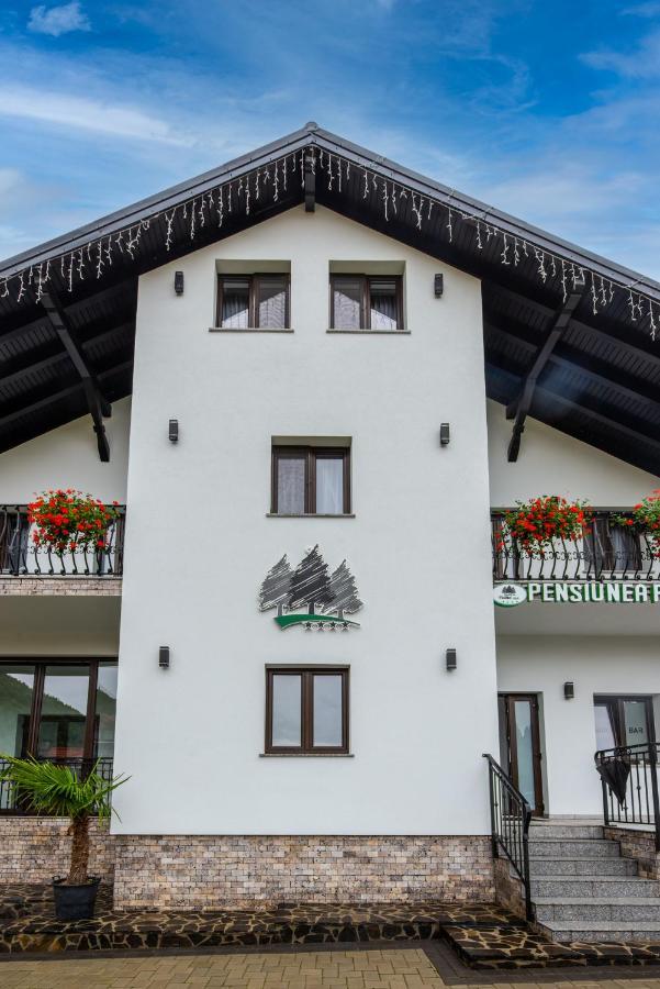 Pensiunea Paradisul Verde Moisei Exteriér fotografie
