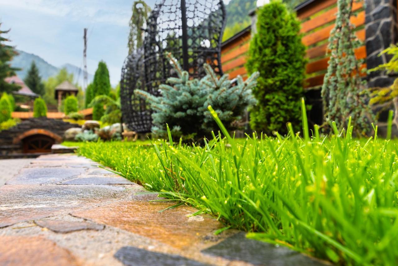 Pensiunea Paradisul Verde Moisei Exteriér fotografie